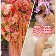 ヒメ日記 2026/04/18 19:30 投稿 東愛華 五十路マダムエクスプレス船橋店(カサブランカグループ)