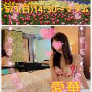 ヒメ日記 2026/04/28 10:16 投稿 東愛華 五十路マダムエクスプレス船橋店(カサブランカグループ)