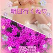 ヒメ日記 2026/05/08 13:38 投稿 東愛華 五十路マダムエクスプレス船橋店(カサブランカグループ)