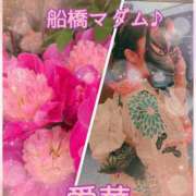ヒメ日記 2026/05/16 10:40 投稿 東愛華 五十路マダムエクスプレス船橋店(カサブランカグループ)
