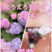 東愛華 えろえろ気分です参ります♪ 五十路マダムエクスプレス船橋店(カサブランカグループ)