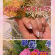 ヒメ日記 2026/06/08 21:34 投稿 東愛華 五十路マダムエクスプレス船橋店(カサブランカグループ)