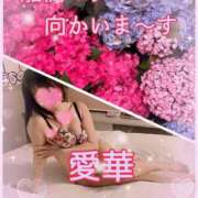 ヒメ日記 2026/06/12 09:24 投稿 東愛華 五十路マダムエクスプレス船橋店(カサブランカグループ)