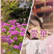 ヒメ日記 2026/06/16 18:18 投稿 東愛華 五十路マダムエクスプレス船橋店(カサブランカグループ)
