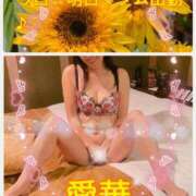 ヒメ日記 2026/07/10 09:24 投稿 東愛華 五十路マダムエクスプレス船橋店(カサブランカグループ)