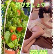 ヒメ日記 2026/07/11 09:24 投稿 東愛華 五十路マダムエクスプレス船橋店(カサブランカグループ)