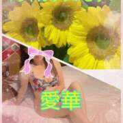 ヒメ日記 2026/07/11 12:36 投稿 東愛華 五十路マダムエクスプレス船橋店(カサブランカグループ)