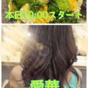 ヒメ日記 2026/08/02 09:36 投稿 東愛華 五十路マダムエクスプレス船橋店(カサブランカグループ)