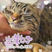 ヒメ日記 2025/11/11 09:10 投稿 もあ 虹色メロンパイ 横浜店