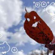 ヒメ日記 2025/11/17 22:38 投稿 もあ 虹色メロンパイ 横浜店