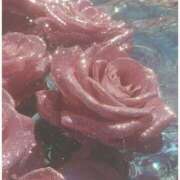 ヒメ日記 2025/09/28 23:12 投稿 せいら ファーストレディ(博多)