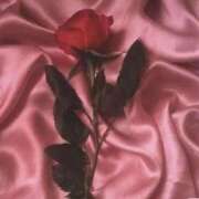 ヒメ日記 2025/11/02 22:03 投稿 せいら ファーストレディ(博多)