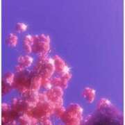 ヒメ日記 2025/11/24 23:12 投稿 せいら ファーストレディ(博多)