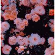 ヒメ日記 2025/11/24 23:32 投稿 せいら ファーストレディ(博多)