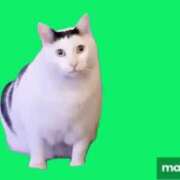 ヒメ日記 2025/11/29 02:55 投稿 みさと☆超可愛い清純～大量潮吹き PREMIUM萌え可愛いチョコレート～全てのステージで感動の体験を～