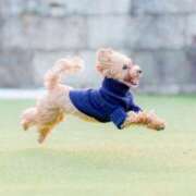 ヒメ日記 2026/02/01 17:07 投稿 ゆみ JAPAN CLUB BUNNY LOUNGE