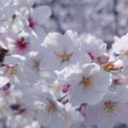 ヒメ日記 2026/04/03 14:27 投稿 ゆうな しろうとCollection