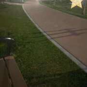 ヒメ日記 2025/09/25 19:14 投稿 ねね 尼妻（あまづま）