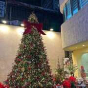 ヒメ日記 2025/12/06 22:36 投稿 ねね 尼妻（あまづま）