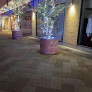 ヒメ日記 2026/01/02 16:04 投稿 ねね 尼妻（あまづま）