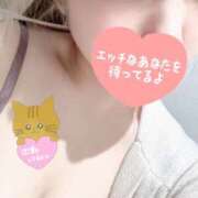 ヒメ日記 2025/10/18 15:21 投稿 るいな 若妻淫乱倶楽部