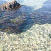 滝谷れいら 生きてます 一夜妻