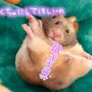 ヒメ日記 2026/02/16 22:40 投稿 もえか 奥鉄オクテツ神奈川店（デリヘル市場グループ）