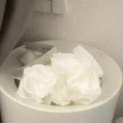 ヒメ日記 2025/11/28 13:03 投稿 いのり 女の子がセルフで撮影する店！！成田デリヘル『生パネル』伝説