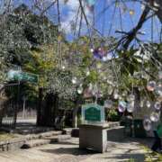 ヒメ日記 2025/10/23 22:20 投稿 澄乃/すみの 五反田アネージュ（ユメオト）