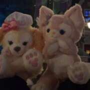 ヒメ日記 2026/01/23 14:14 投稿 しふぉん イクイクサークル鶯谷店