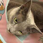 ヒメ日記 2025/09/27 23:24 投稿 三木せつな 全裸美女からのカゲキな誘惑