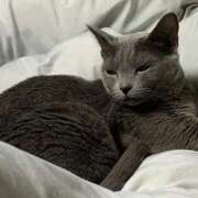 ヒメ日記 2025/10/06 22:32 投稿 三木せつな 全裸美女からのカゲキな誘惑