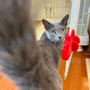 ヒメ日記 2025/10/07 21:02 投稿 三木せつな 全裸美女からのカゲキな誘惑