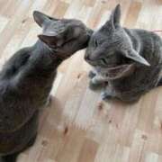 ヒメ日記 2025/10/08 21:02 投稿 三木せつな 全裸美女からのカゲキな誘惑