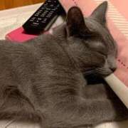 ヒメ日記 2025/11/22 13:26 投稿 三木せつな 全裸美女からのカゲキな誘惑