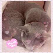 三木せつな 火曜日は事前予約のみです！ 全裸美女からのカゲキな誘惑