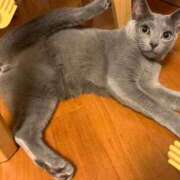 ヒメ日記 2025/12/07 12:22 投稿 三木せつな 全裸美女からのカゲキな誘惑