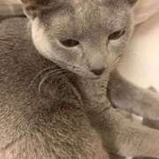 ヒメ日記 2025/12/15 13:52 投稿 三木せつな 全裸美女からのカゲキな誘惑