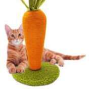 ヒメ日記 2025/12/21 14:52 投稿 三木せつな 全裸美女からのカゲキな誘惑