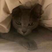 ヒメ日記 2025/12/21 18:35 投稿 三木せつな 全裸美女からのカゲキな誘惑