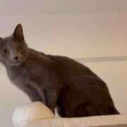 ヒメ日記 2026/01/25 17:35 投稿 三木せつな 全裸美女からのカゲキな誘惑