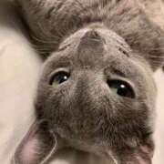 ヒメ日記 2026/02/01 14:52 投稿 三木せつな 全裸美女からのカゲキな誘惑