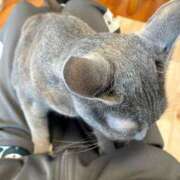 ヒメ日記 2026/02/28 17:58 投稿 三木せつな 全裸美女からのカゲキな誘惑