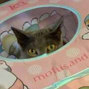 ヒメ日記 2026/03/01 10:17 投稿 三木せつな 全裸美女からのカゲキな誘惑