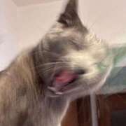 ヒメ日記 2026/03/07 17:58 投稿 三木せつな 全裸美女からのカゲキな誘惑