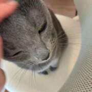 ヒメ日記 2026/03/14 10:15 投稿 三木せつな 全裸美女からのカゲキな誘惑