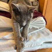 ヒメ日記 2026/03/15 10:48 投稿 三木せつな 全裸美女からのカゲキな誘惑