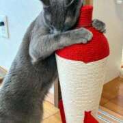 ヒメ日記 2026/03/22 16:38 投稿 三木せつな 全裸美女からのカゲキな誘惑