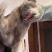 三木せつな インテリア改造 全裸美女からのカゲキな誘惑