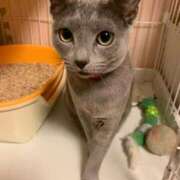 ヒメ日記 2026/03/28 19:48 投稿 三木せつな 全裸美女からのカゲキな誘惑